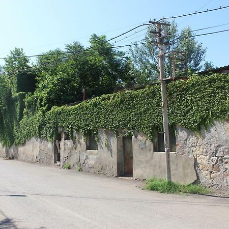 Гостевой дом Зарзма Кутаиси Экстерьер фото
